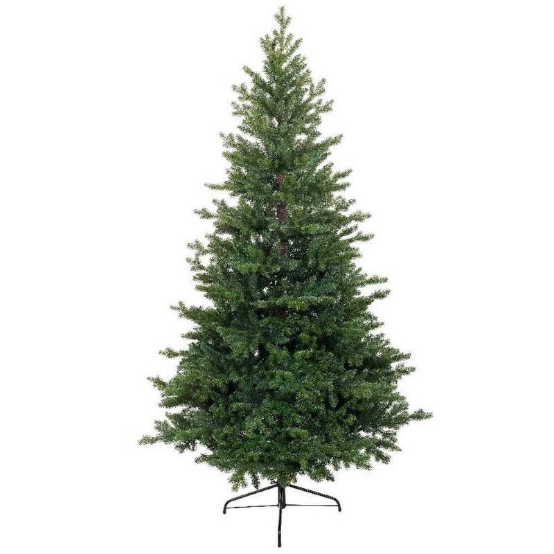 Sapin Allison