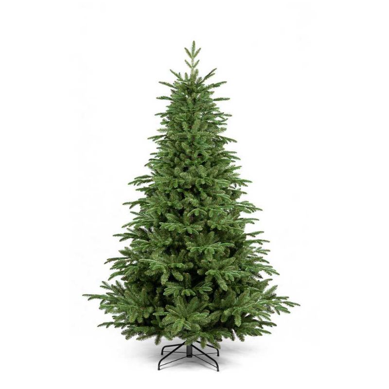 Sapin Balsam