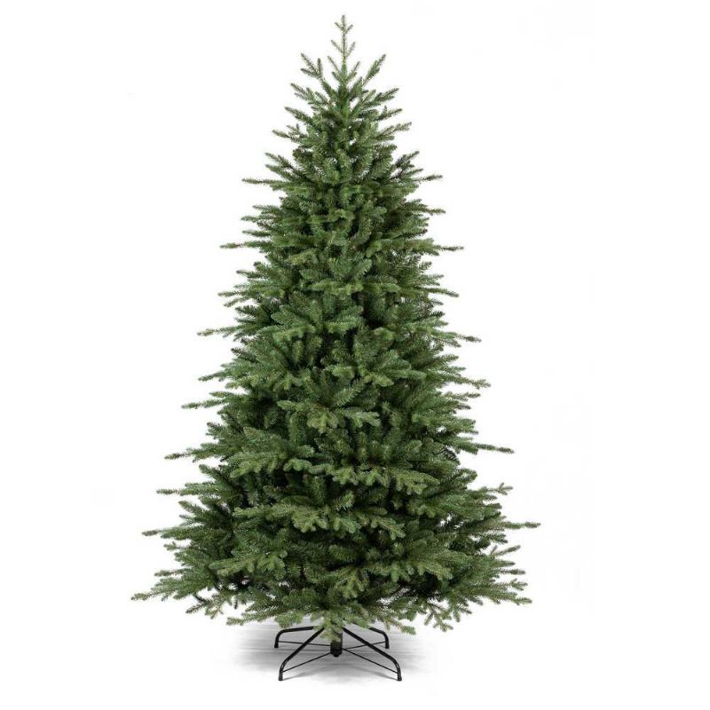 Sapin Berna